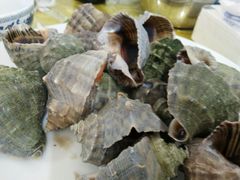 -叶存利海鲜大馅饺子(东戴河止锚湾店)