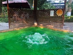 -春晖园度假酒店温泉