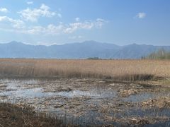 -野鸭湖国家湿地公园