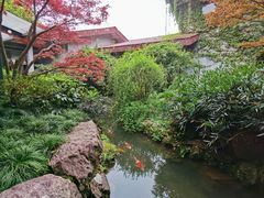 -中国茶叶博物馆(双峰馆区)