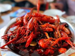 -大孩龙虾(体育场旗舰店)