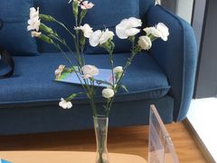 -视野联行眼镜(西站中天健广场店)