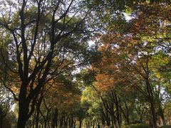 -白塘生态植物园