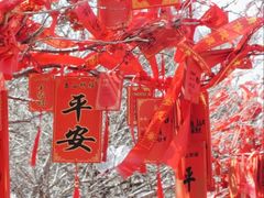 -泰山风景名胜区