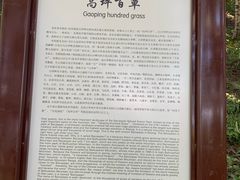 -白草畔自然风景区