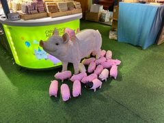 -重庆十八梯传统风貌区