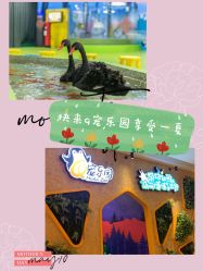 -七巧国萌宠乐园(龙湖天街店)