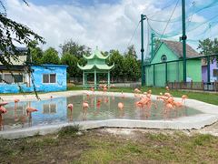 -秦皇岛野生动物园