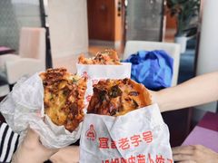-半月镰胡姐脆皮萝卜饺子