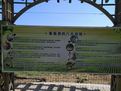 -北京张裕爱斐堡酒庄