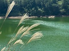 -大罗山风景区