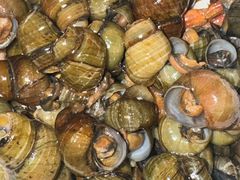 -红卫粉丝煲(艮塔东路店)