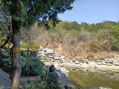 -鬼笑石后山停车场