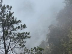 -庐山风景区花径公园