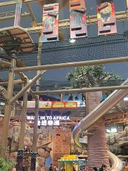 -卡通尼·Safari非洲探索乐园·生日会(金桥国际商业广场店)