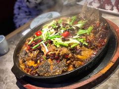 -老板恋上鱼(高新万达店)