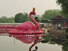 -莲花池公园