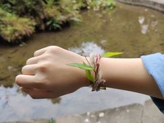 -涞滩古镇