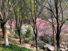 -桃花岭景区