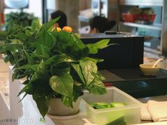 -红荔村肠粉(岗厦店)