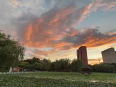 -东方红海鲜百汇(国际大厦店)