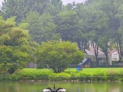 -春晖园度假酒店温泉