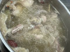 -鸽鸟轩(石岐店)