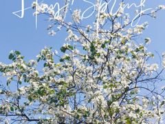 -观澜湖生态运动公社