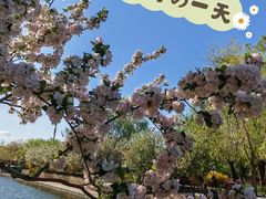 -海棠花溪(元大都城垣遗址公园)