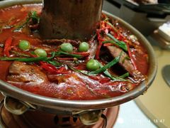 -撒拉花儿·新疆菜·清真(太阳宫店)