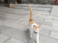 -罔极寺