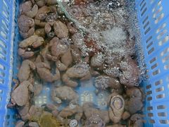 -霞涌市场海鲜摆卖区