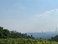 -火炉山森林公园
