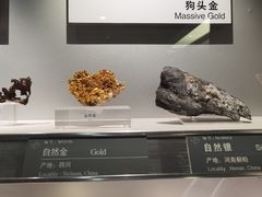 -中国地质博物馆