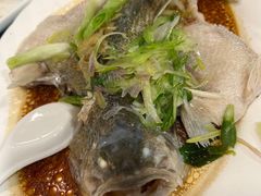 蒸鲈鱼-粤·向群饭店(泮塘路店)