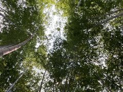 -陶祖圣境风景区