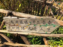 -田园东方蜜桃村的田野营地