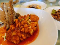 松子桂鱼-上海和平饭店龙凤厅 Dragon Phoenix