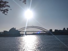 -麦考利夫人座椅