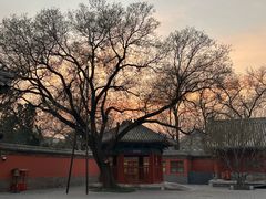 -北京古代建筑博物馆