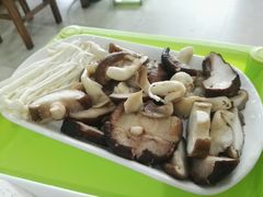 -15年老字号鑫鑫猪肚鸡·椰子鸡海南火锅(兴隆华侨农场店)