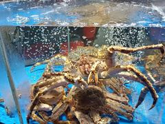 -徐记海鲜·宴会(大唐西市|丰庆店)