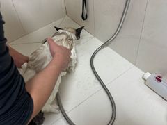 -悠尼宠物·独立低压伊珊娜洗护·美容·寄养(兰谷路店)