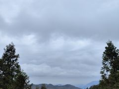 -武陵山森林公园