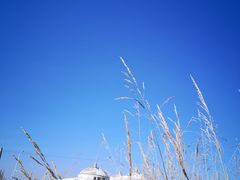 -希拉穆仁草原