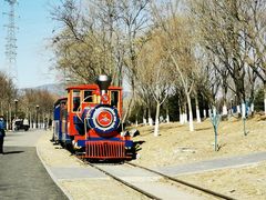 -永定河休闲森林公园