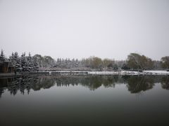 -大兴滨河森林公园