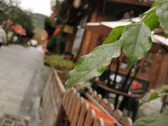 -巴人堂(女儿城店)