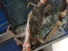 -宾朋海鲜特色美食餐厅·纯手工鲅鱼水饺(兴海路店)