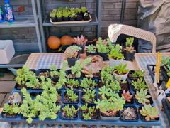 -100家灵感仓库·DIY团建(什刹海店)